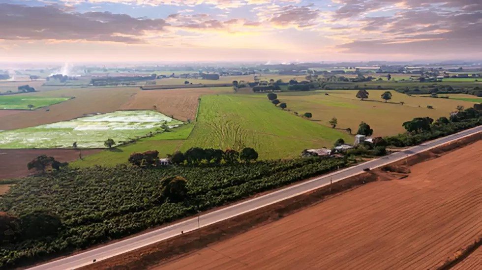 Imagen con fondo verde sobre artículo de Grupo Promerica en Forbes