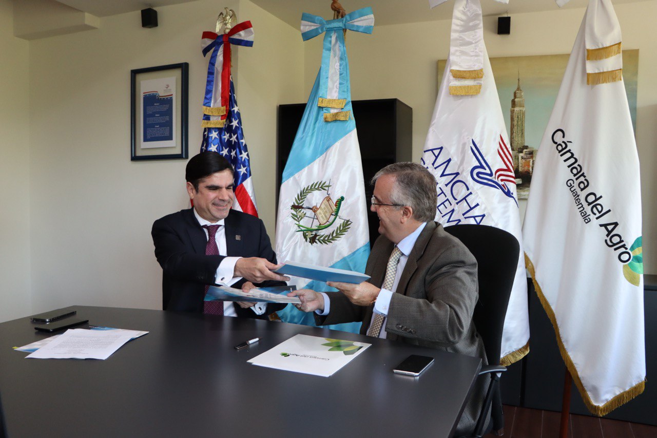 Fusiones y adquisiciones en Centroamérica: el rol de Juan Pablo Carrasco de Groote