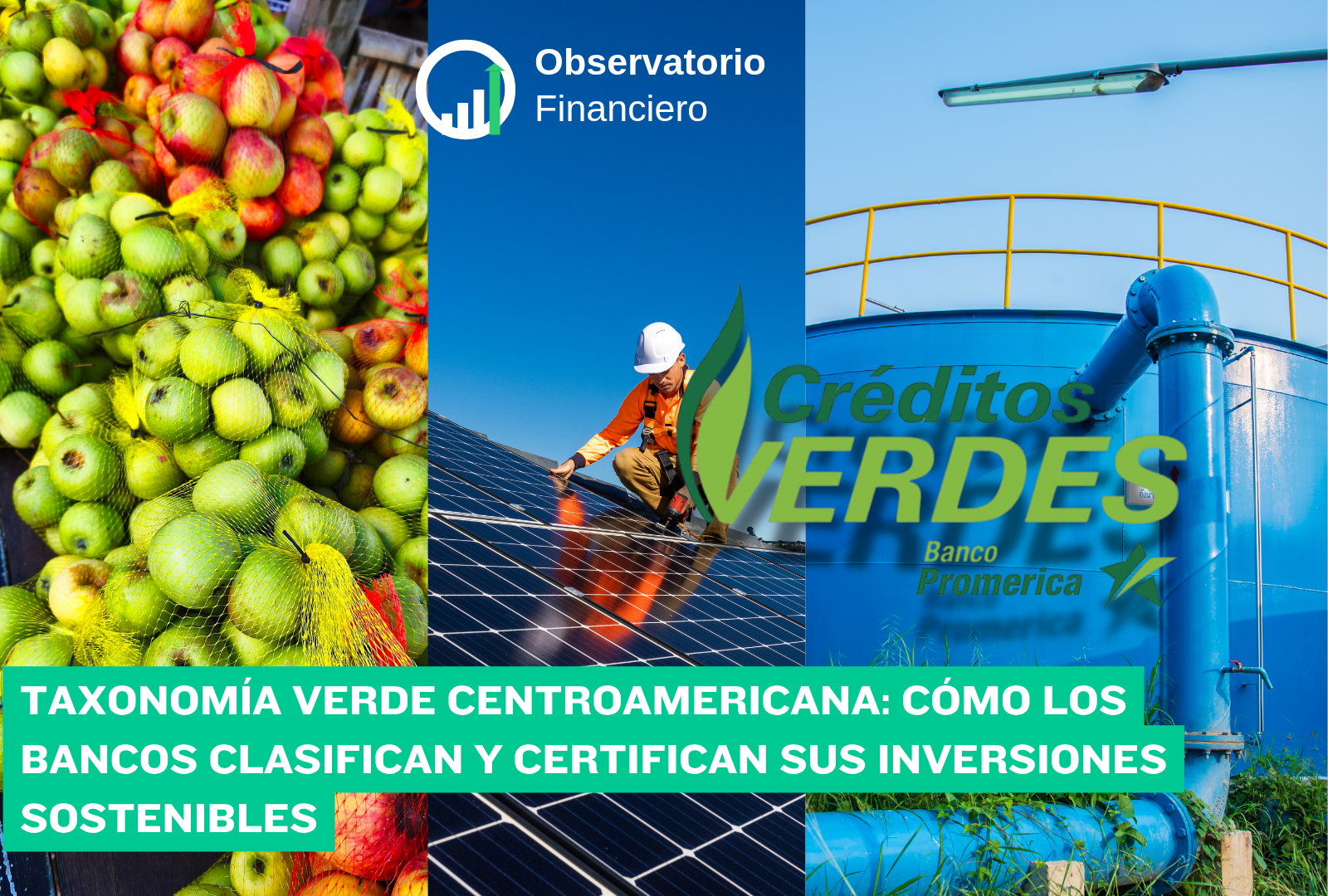 comida, Paneles solares y agua